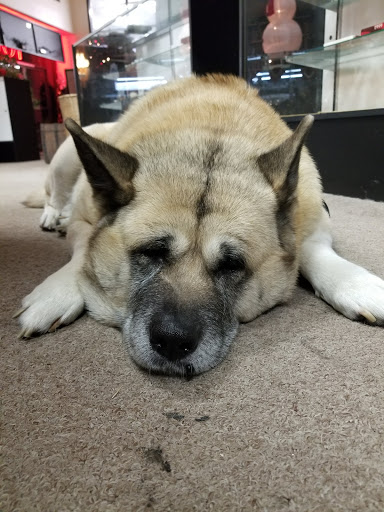 ABC Pawn Shop, 1700 Mile Hill Dr, Port Orchard, WA 98366, USA, 