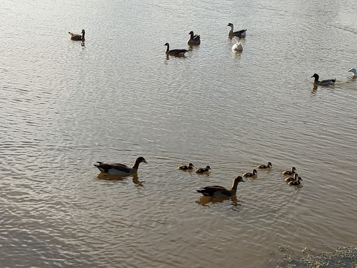 Zoo «The Exotic Resort Zoo», reviews and photos, 235 Zoo Trail, Johnson City, TX 78636, USA