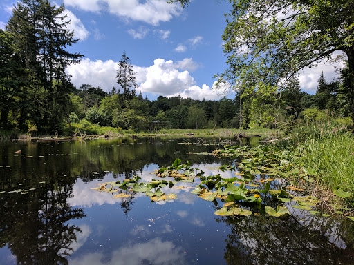 Park «Lord Hill Park», reviews and photos, 12921 150th St SE, Snohomish, WA 98290, USA