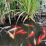 Photo n°2 de l'avis de luca.o fait le 01/12/2021 à 23:17 sur le  Residence Villa Patrizia à Rome