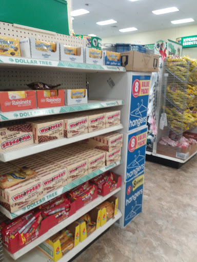 Dollar Store «Dollar Tree», reviews and photos, 495 Flatbush Ave, Hartford, CT 06106, USA