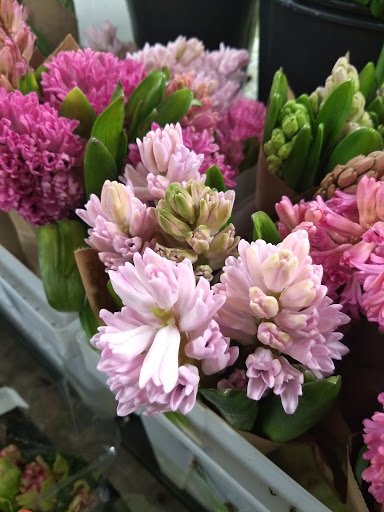 Florist «Austin Flower Co», reviews and photos, 1612 W 35th St, Austin, TX 78703, USA