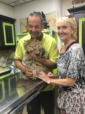CABINET VETERINAIRE DES PIGNES - Uniquement sur Rendez-Vous - Urgence Joignable 7/7J - Examen Clinique Complet Nice 06 à Nice