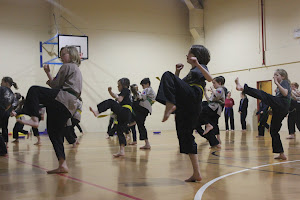 Shaolin Kung Fu - Whanganui image