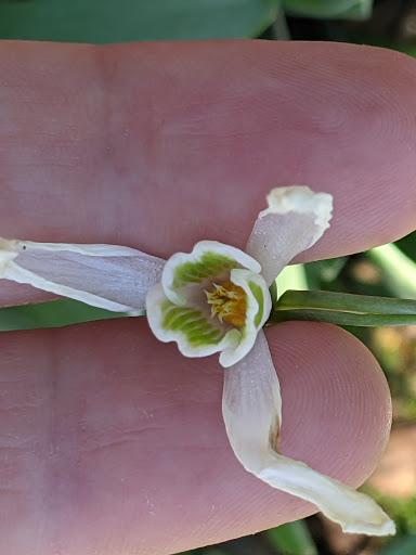 Park «Patawomeck Park», reviews and photos, 25 Chopawamsic Pkwy, Stafford, VA 22554, USA