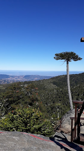 Parque Nac. Nahuelbuta, Angol, Araucanía, Chile