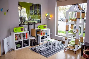 Tree House Cat Cafe (Reserve your spot today!) image
