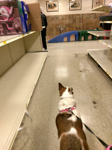 Pet Supply Store «PetSmart», reviews and photos, 637 Woodbury Glassboro Rd, Sewell, NJ 08080, USA