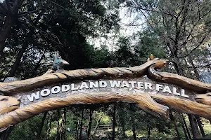 Woodland water fall nainital image