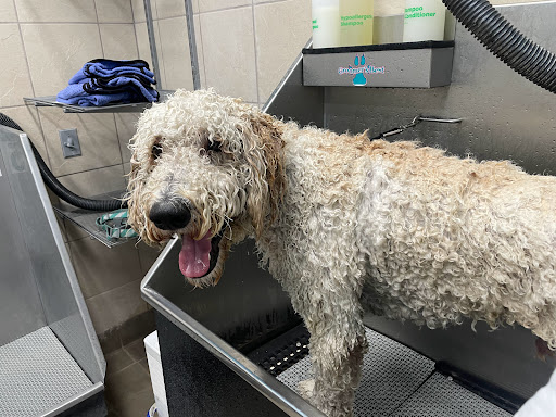 Pet Supply Store «Pet Supplies Plus», reviews and photos, 180 N Randall Rd, North Aurora, IL 60542, USA