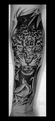 Find moth tattoo ideas for your next unique tattoo in Rogers at Ink Solutions Tattoo