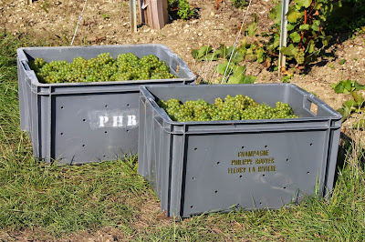 Champagne Philippe ROUYER à Fleury-la-Rivière