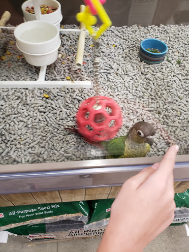 Pet Supply Store «Petco Animal Supplies», reviews and photos, 3454 Palmer Dr #7a, Cameron Park, CA 95682, USA