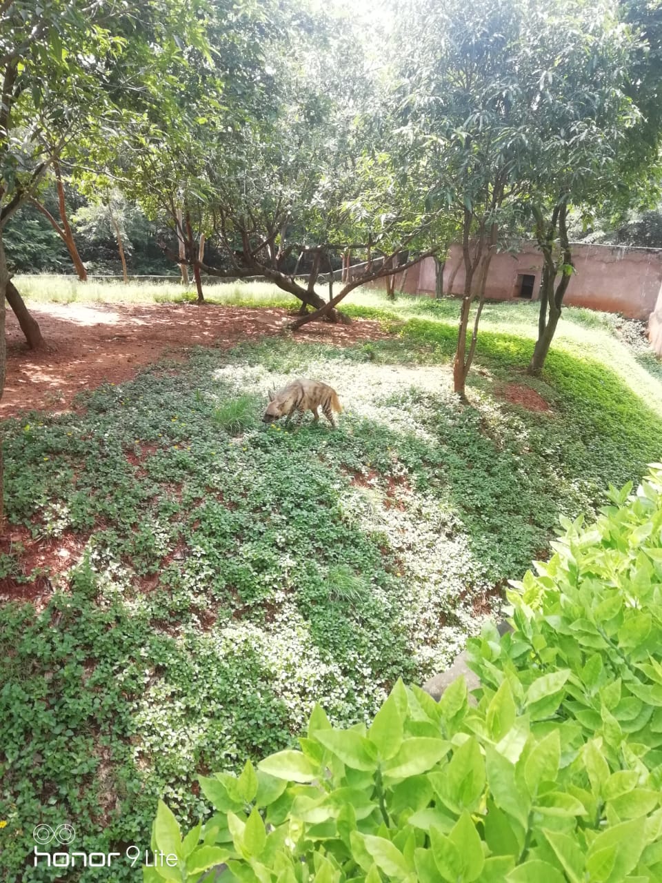 Pramod Kumar house