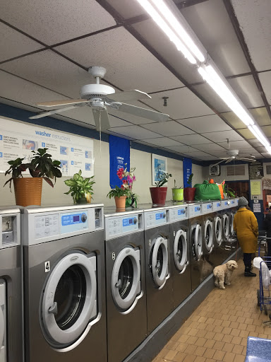 Laundromat «Laundryland», reviews and photos, 1160 Yonkers Ave, Yonkers, NY 10704, USA