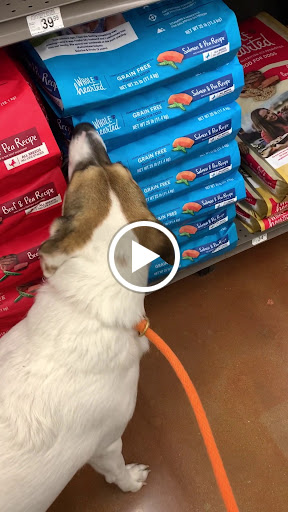 Pet Supply Store «Petco Animal Supplies», reviews and photos, 10864 Kuykendahl Rd, The Woodlands, TX 77381, USA