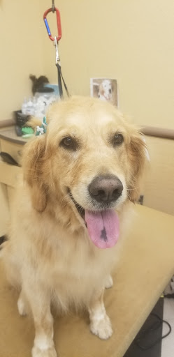 Pet Supply Store «PetSmart», reviews and photos, 2391 NJ-66, Ocean Township, NJ 07712, USA