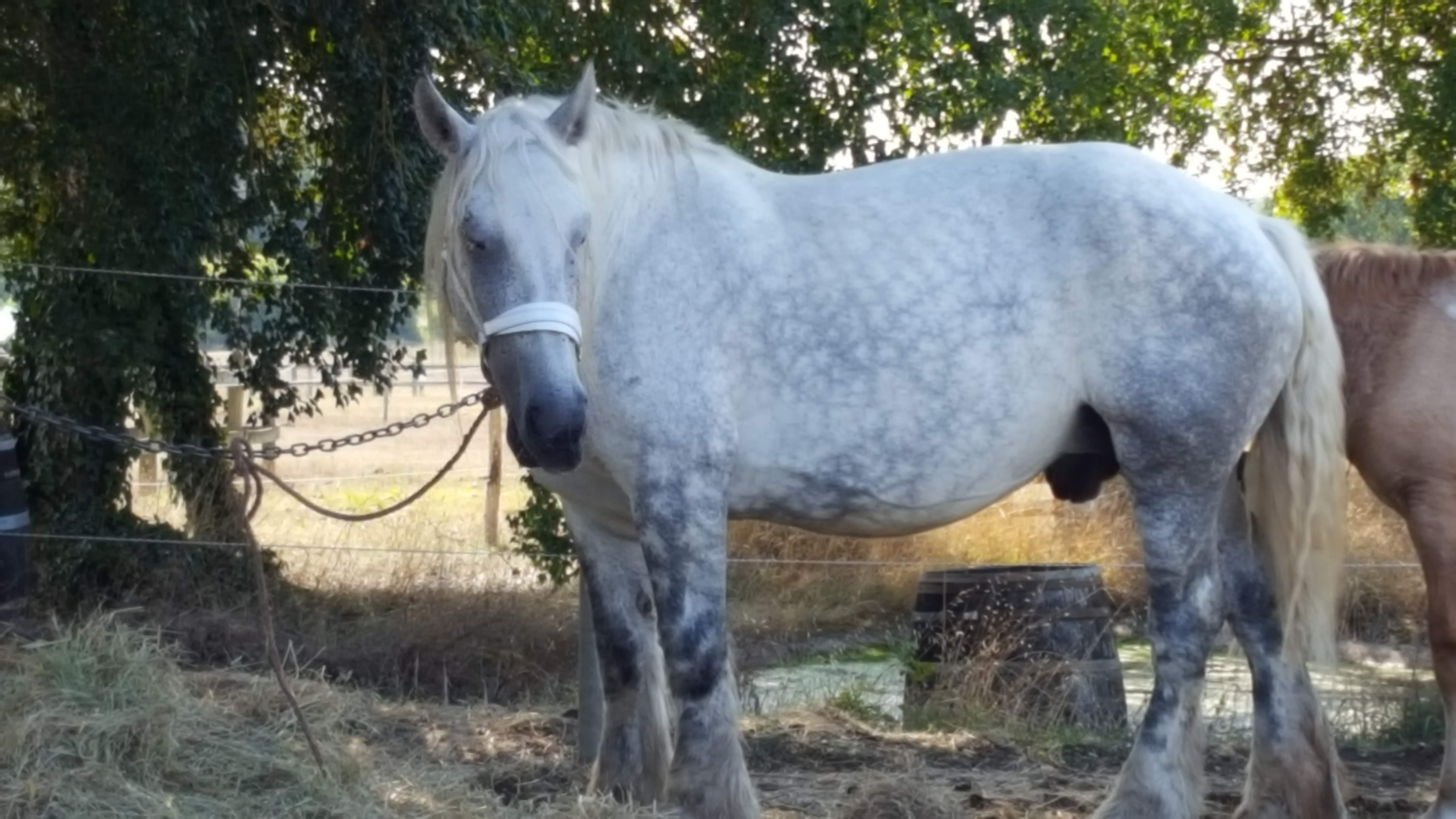 Photo n° 1 de l'avis de Prudence.r fait le 30/08/2019 à 10:33