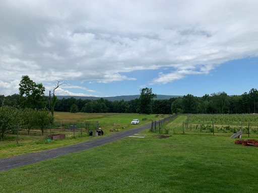 Winery «Christopher Jacobs Winery at Pennings Vineyards (Seasonally Open May-Oct)», reviews and photos, 320 Crawford St, Pine Bush, NY 12566, USA