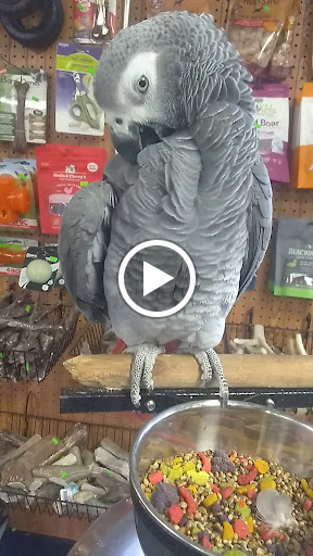Pet Store «Birds & Beasts Pet Shop», reviews and photos, 35 Berkshire Dr # 18, Crystal Lake, IL 60014, USA
