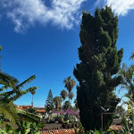 Photo n°10 de l'avis de Ingo.a fait le 25/11/2023 à 10:37 sur le  Quinta Splendida Wellness & Botanical Garden à Caniço