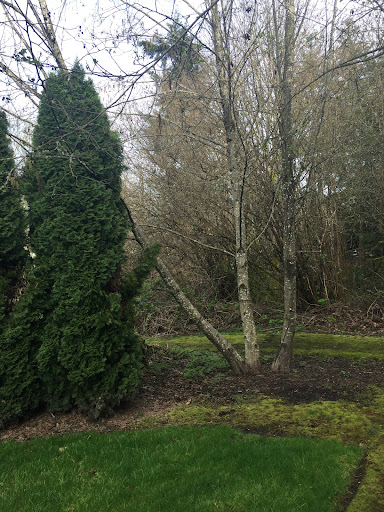 Park «Powell Butte Nature Park», reviews and photos, 16160 SE Powell Blvd, Portland, OR 97236, USA