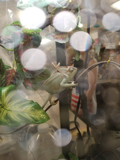 Garden Center «Liberty Agway Home & Garden Center», reviews and photos, 11 Bon Jovi Ln, Liberty, NY 12754, USA