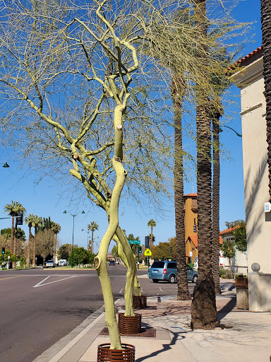 Tourist Attraction «Arizona Museum of Natural History», reviews and photos, 53 N Macdonald, Mesa, AZ 85201, USA