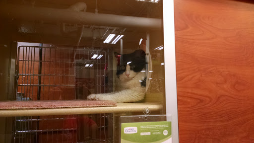 Pet Supply Store «PetSmart», reviews and photos, 215 Needham St, Newton, MA 02464, USA