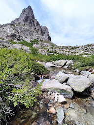 Photo n°27 de Bergerie de Melo à Corte ()