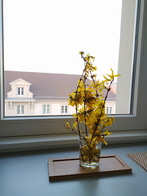 Location Appartment Saint-Louis Basel à Saint-Louis