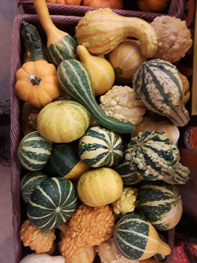 Grocery Store «Food Lion», reviews and photos, 1607 Pulaski Hwy, Bear, DE 19701, USA