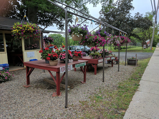 Produce Market «Crane Farm», reviews and photos, 270 S Maple Ave, Basking Ridge, NJ 07920, USA