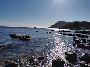 Photo n°15 de Les Pins Parasols à La Seyne-sur-Mer ()