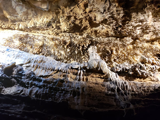 National Park «Chickamauga & Chattanooga National Military Park», reviews and photos, 3370 Lafayette Rd, Fort Oglethorpe, GA 30742, USA