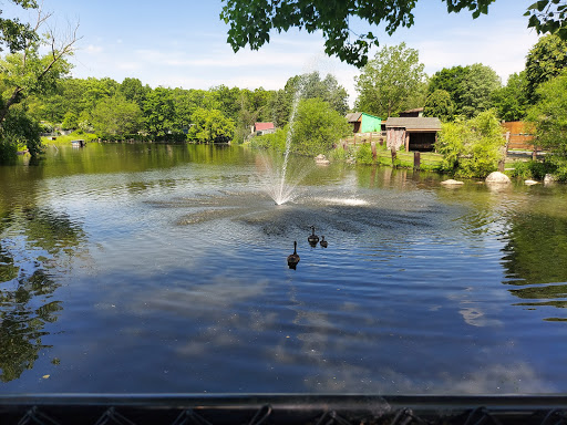 Zoo «Lupa Zoo», reviews and photos, 62 Nash Hill Rd, Ludlow, MA 01056, USA