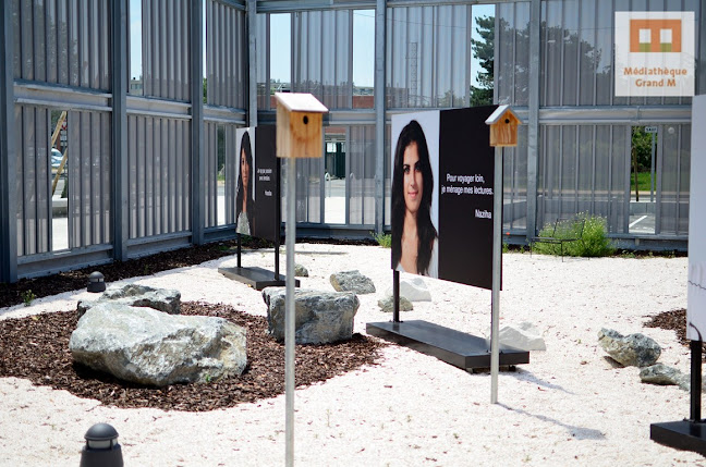 Opinii despre Médiathèque Grand M în Lardenne - Bibliothèque