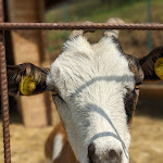Photo n°2 de l'avis de Alfredo.e fait le 05/08/2023 à 22:15 sur le  Sassi della Luna à Cenate Sopra