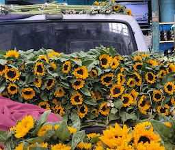 Mercado Jamaica photo