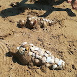 Photo n°8 de l'avis de Paola.a fait le 02/08/2018 à 20:02 sur le  Abruzzo Marina Hotel à Silvi