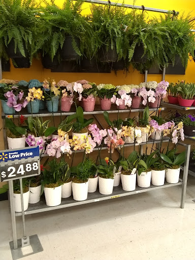 Department Store «Walmart Supercenter», reviews and photos, 220 Century Blvd, Bristol, TN 37620, USA