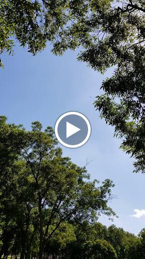 Park «Clarence Foster Park», reviews and photos, 4400 Woodland Park Blvd, Arlington, TX 76013, USA