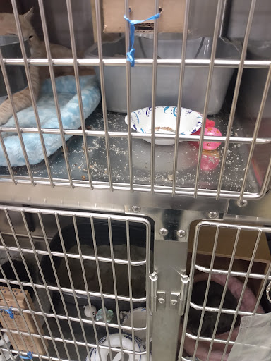 Pet Supply Store «PetSmart», reviews and photos, 2940 Chapel Hill Rd, Douglasville, GA 30135, USA