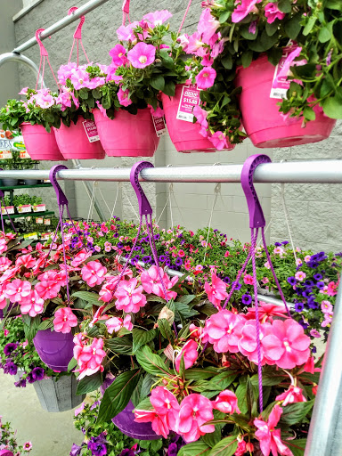 Department Store «Walmart Supercenter», reviews and photos, 141 Springfield Rd, Westfield, MA 01085, USA