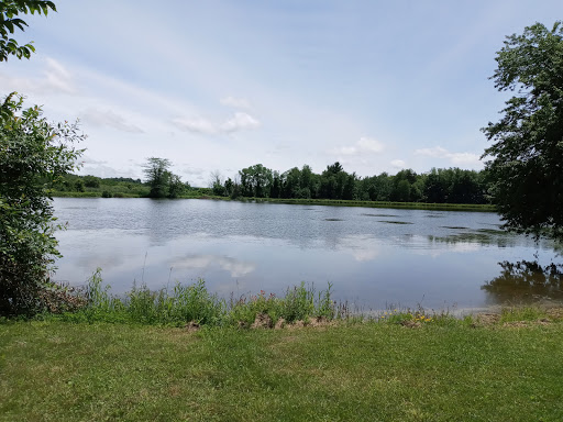 Garden «Wethersfield Farm», reviews and photos, 88 Wethersfield Way, Amenia, NY 12501, USA