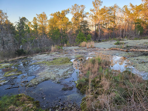 Nature Preserve «Davidson-Arabia Nature Preserve», reviews and photos, 3787 Klondike Rd, Lithonia, GA 30038, USA