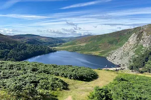 Lough Tay Viewing Point image