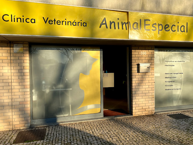 Clínica Veterinária Animal Especial - Esposende
