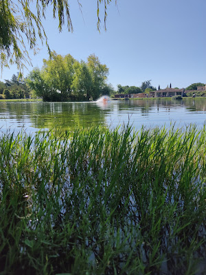 La Pêche des Saules - étang et magasin de pêche à Aix-en-Provence