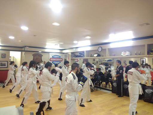 KARATE STUDIO GALERIAS